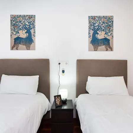 Live Cruz Tower Santa Cruz de Tenerife