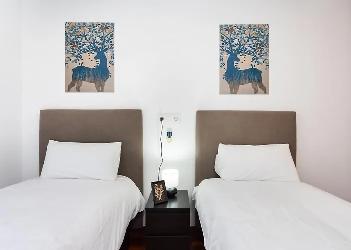 Live Cruz Tower Santa Cruz de Tenerife